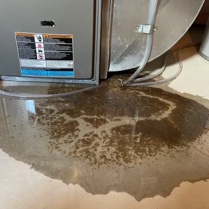 Appliance Leak Cleanup in Williamstown, WV